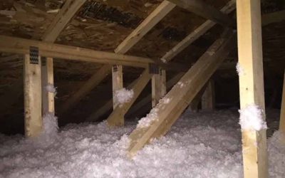 Attic Insulation Insights for British Columbia Homeowners