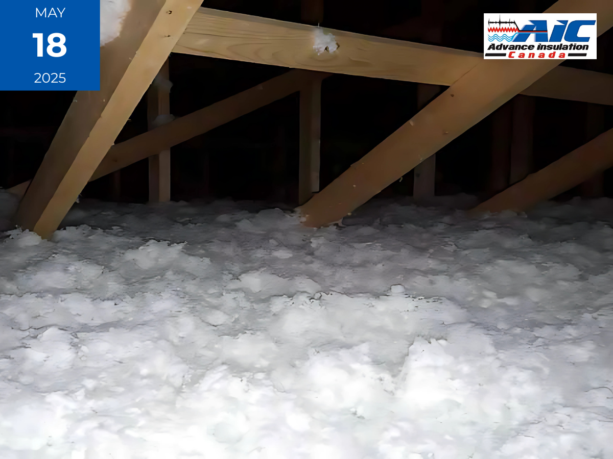 blown in insulation vs batts