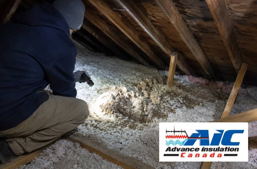 Signs Your Insulation Was Damaged Over the Winter