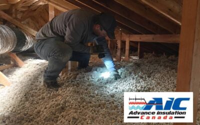 Why Spring Is the Best Time to Inspect Your Attic Insulation