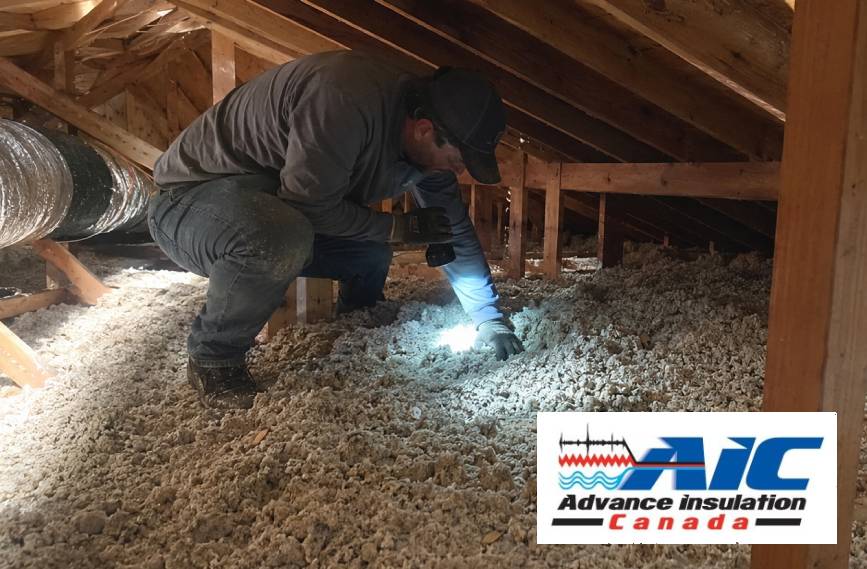 Why Spring Is the Best Time to Inspect Your Attic Insulation