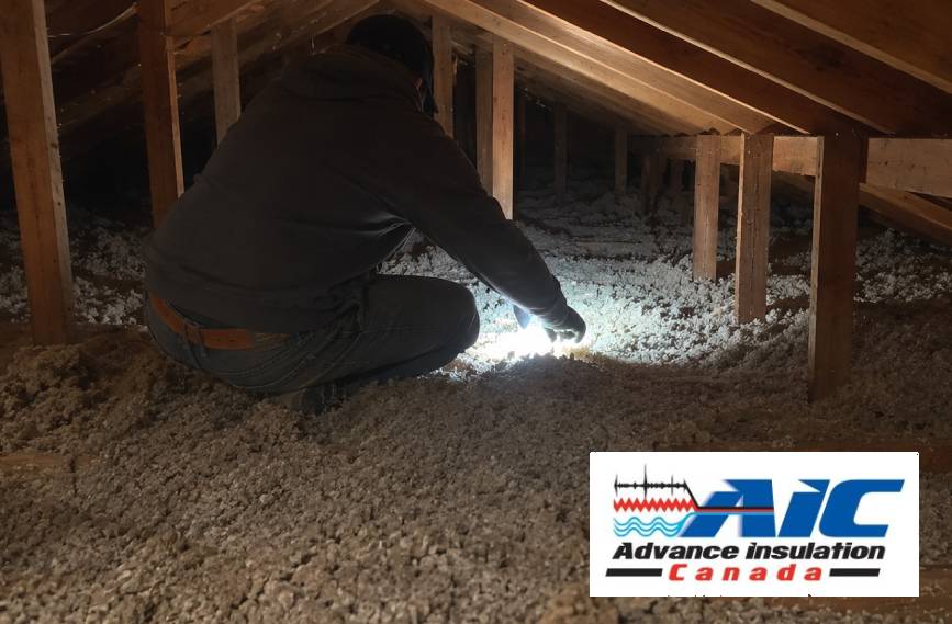 Why Spring Is the Best Time to Inspect Your Attic Insulation